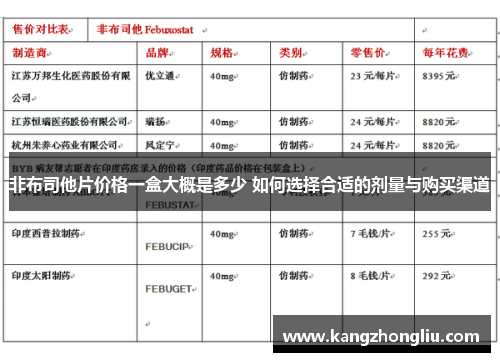 非布司他片价格一盒大概是多少 如何选择合适的剂量与购买渠道